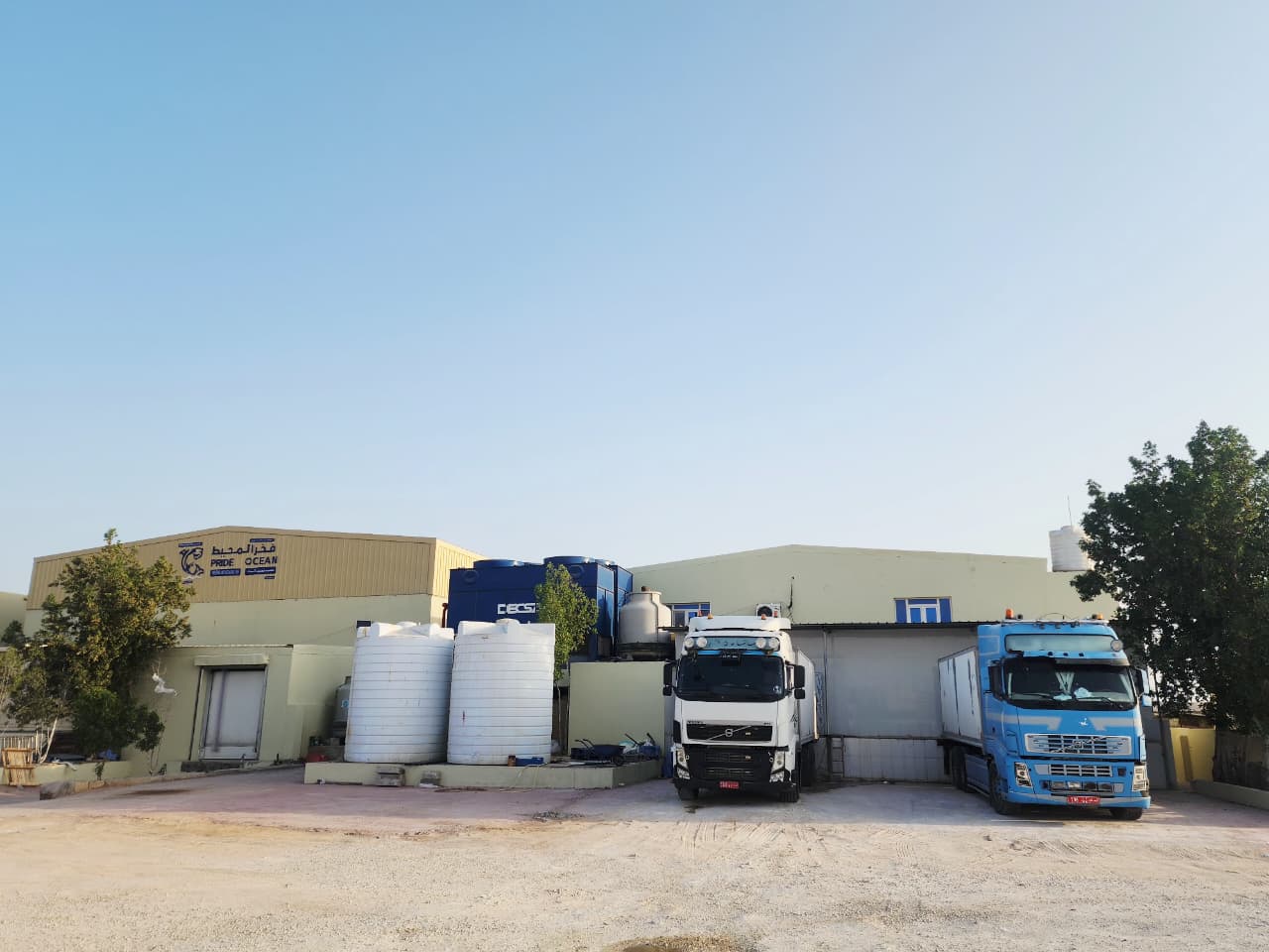 WhatsApp Image 2025-10-26 at 11.03.51_cf7ea572