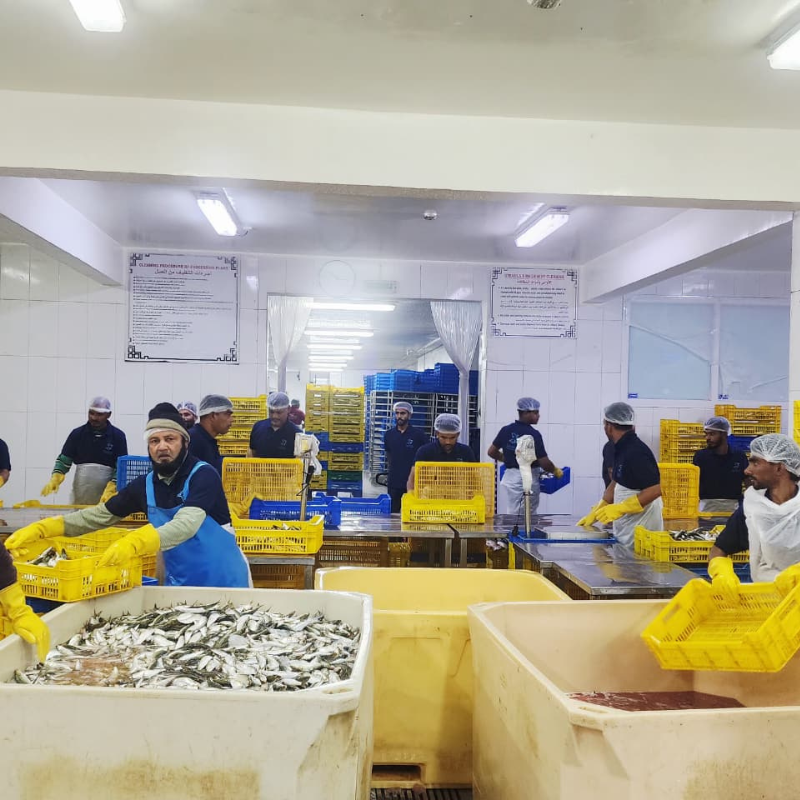 Our trained team cleans and prepares the fish with care and precision.