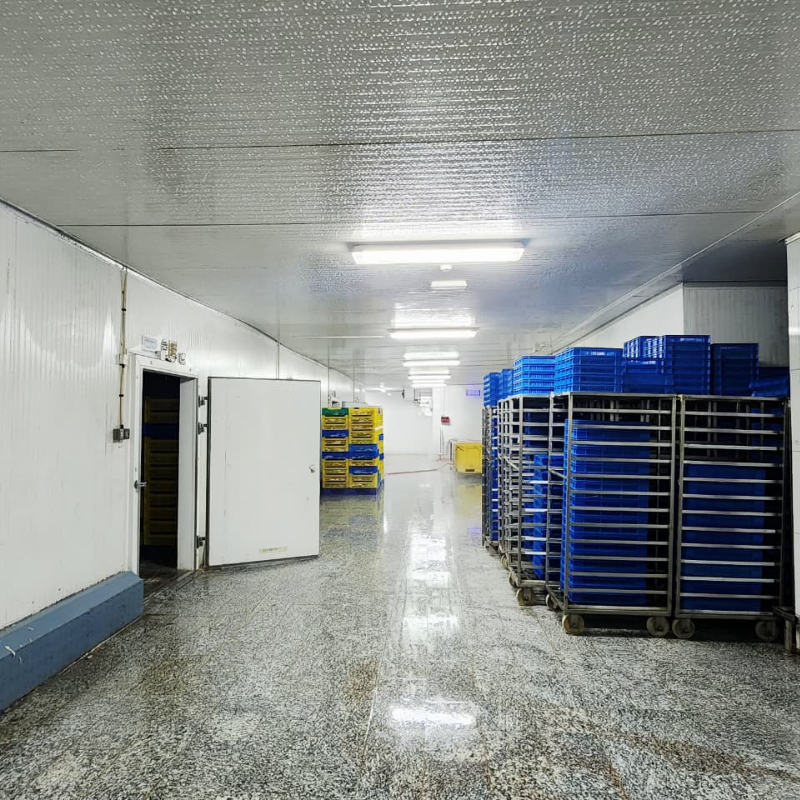 Processed fish is moved to temperature-controlled cold rooms to lock in freshness.
